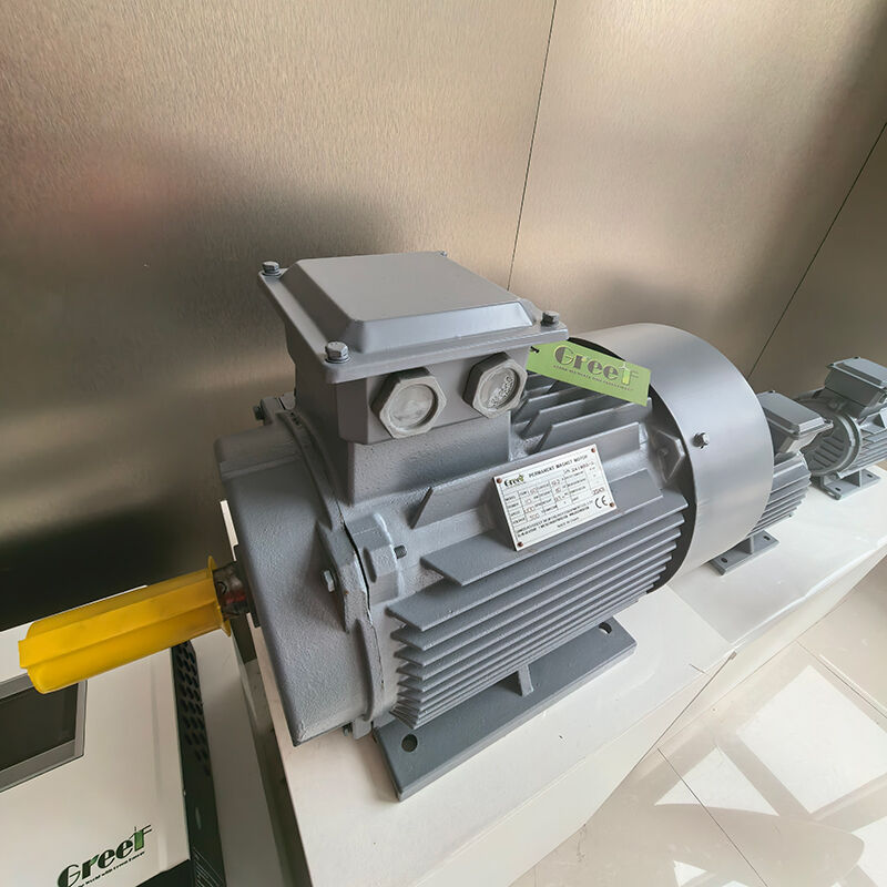 IP54 درجه بندی فلنج نصب موتور مغناطیس دائمی با 0-3000 RPM برای کاربردهای صنعتی