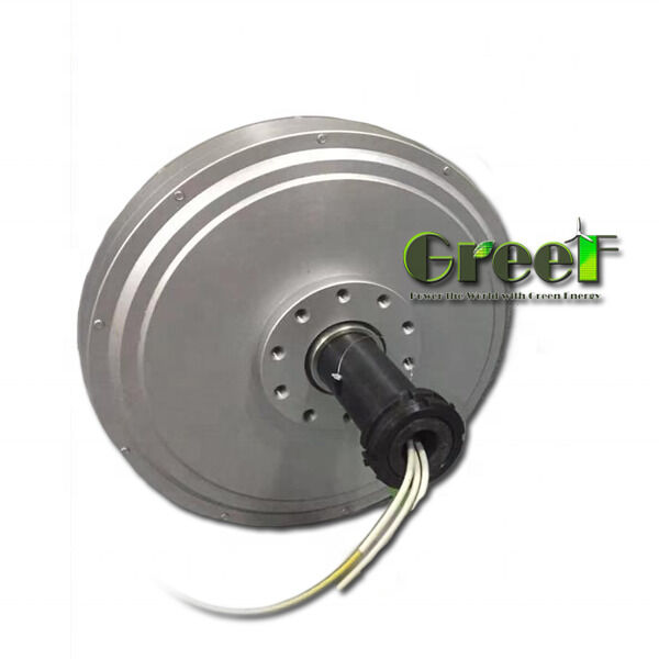 Coreless Permanent Magnet Generator with Low Start Torque High Efficiency and Maintenance-free Design for Wind Power